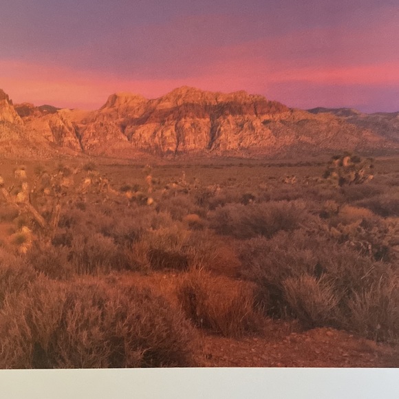 Book - Picture 4 of 6